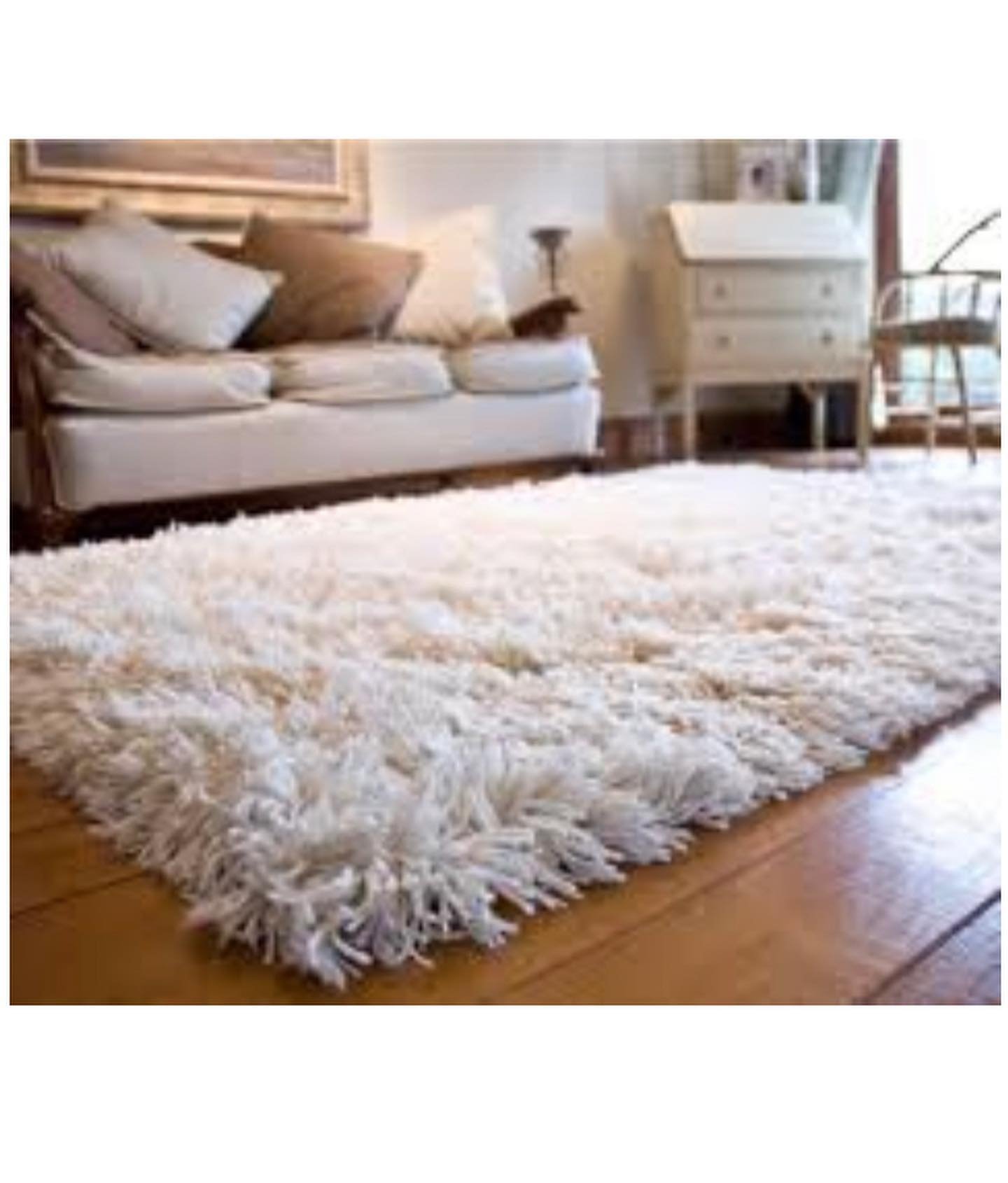 Rugs Shag Set